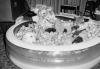 BW_ball_pool.pgm