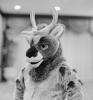 reindeer.pgm