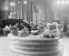 ball_pool_aero_ektar.pgm