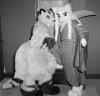 cat_and_fox.pgm