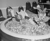 ball_pool.pgm