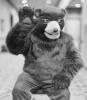 joe_bear_0.pgm