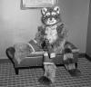 rocket_bench.pgm