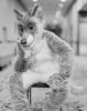 thinking_wolf.pgm