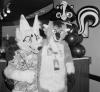 unknown_quietfox.pgm