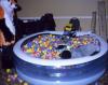 fox_wolf_ballpool.ppm