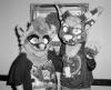 halley_unknown.pgm