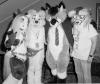 dakota_cannoli_collie_quietfox_unknown.pgm