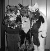 teshi_grndragon_wolfy.pgm
