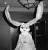 vikitty.pgm