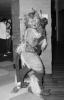 unknown_by_column.pgm