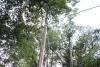 IMG_4426.JPG