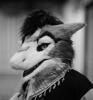 sergal.pgm
