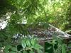 dscn0870.jpg