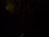 dscn2582.jpg