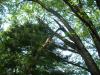 dscn3114.jpg