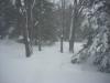 dscn5389.jpg
