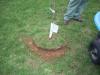 dscn5529.jpg