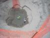 dscn5619.jpg