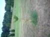dscn6028.jpg